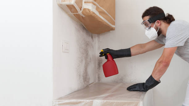 Professional Bathroom Mold Removal technician working in Kent City, MI