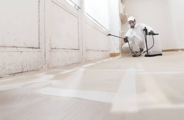 24/7 Emergency Bathroom Mold Removal experts in Kent City, MI
