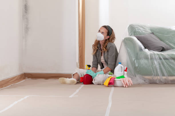 Reliable Bathroom Mold Removal contractor in Kent City, MI by 24 Hour Mold Removal